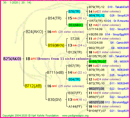 Pedigree of B25(AKO) :
four generations presented<br />it's temporarily unavailable, sorry!