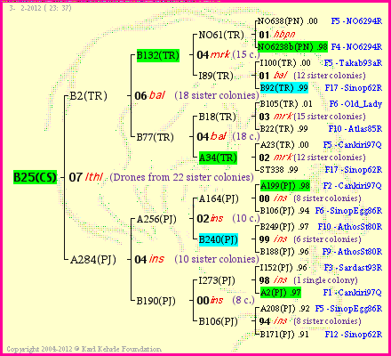 Pedigree of B25(CS) :
four generations presented<br />it's temporarily unavailable, sorry!