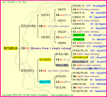 Pedigree of B25(DSJ) :
four generations presented
it's temporarily unavailable, sorry!