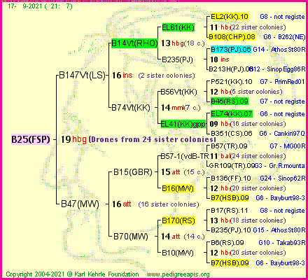 Pedigree of B25(FSP) :
four generations presented
it's temporarily unavailable, sorry!