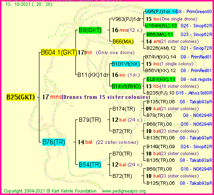 Pedigree of B25(GKT) :
four generations presented
it's temporarily unavailable, sorry!