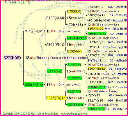 Pedigree of B25(HAR) :
four generations presented
it's temporarily unavailable, sorry!