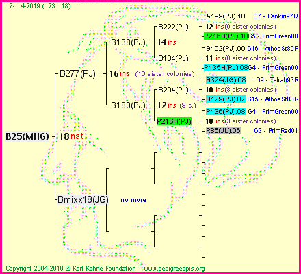 Pedigree of B25(MHG) :
four generations presented
it's temporarily unavailable, sorry!