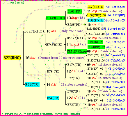 Pedigree of B25(RHO) :
four generations presented
it's temporarily unavailable, sorry!