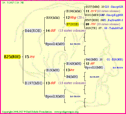 Pedigree of B25(ROE) :
four generations presented