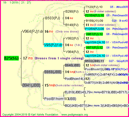 Pedigree of B25(SG) :
four generations presented<br />it's temporarily unavailable, sorry!