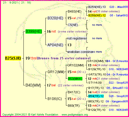 Pedigree of B25(SJR) :
four generations presented
it's temporarily unavailable, sorry!