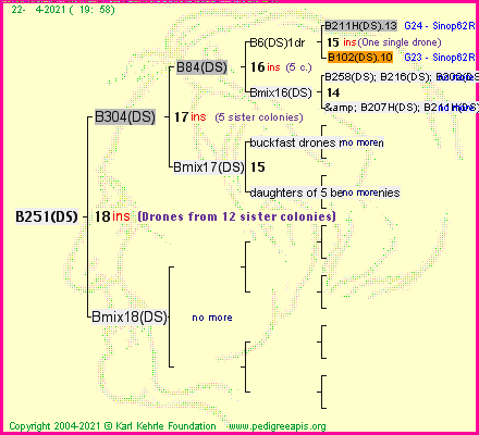 Pedigree of B251(DS) :
four generations presented
it's temporarily unavailable, sorry!