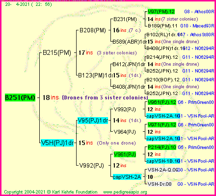 Pedigree of B251(PM) :
four generations presented
it's temporarily unavailable, sorry!