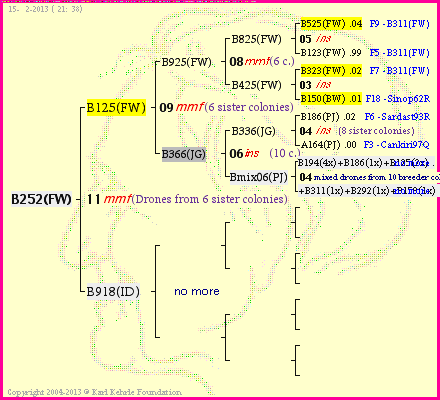 Pedigree of B252(FW) :
four generations presented