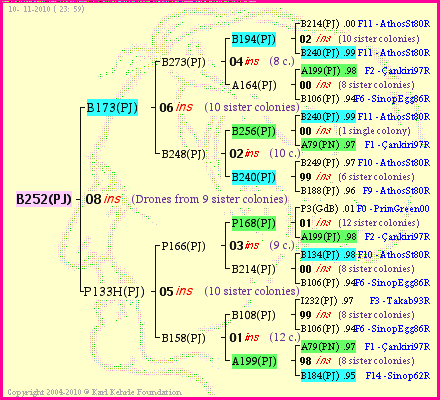 Pedigree of B252(PJ) :
four generations presented