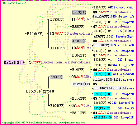 Pedigree of B252H(FF) :
four generations presented
it's temporarily unavailable, sorry!