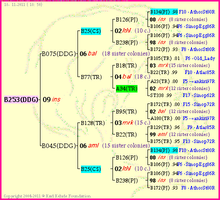 Pedigree of B253(DDG) :
four generations presented