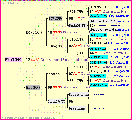 Pedigree of B253(FF) :
four generations presented