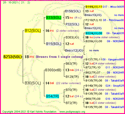 Pedigree of B253(SOL) :
four generations presented
it's temporarily unavailable, sorry!