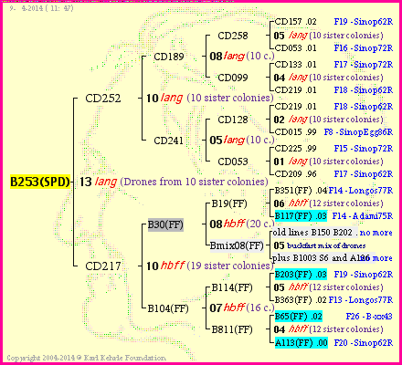 Pedigree of B253(SPD) :
four generations presented