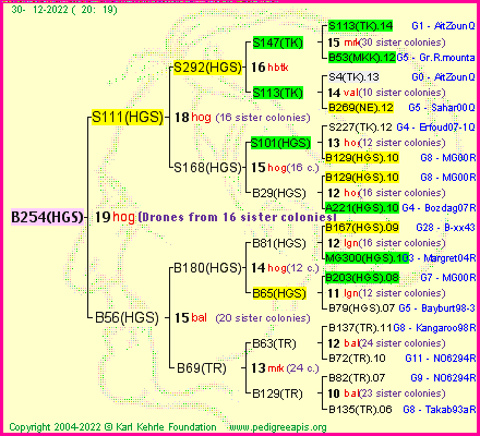 Pedigree of B254(HGS) :
four generations presented
it's temporarily unavailable, sorry!