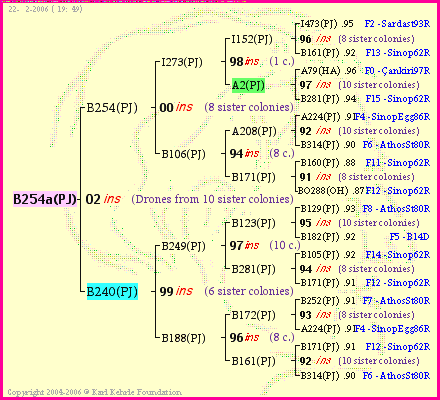 Pedigree of B254a(PJ) :
four generations presented