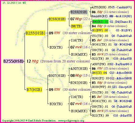 Pedigree of B255(HSB) :
four generations presented
it's temporarily unavailable, sorry!