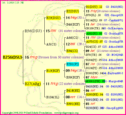 Pedigree of B256(DSU) :
four generations presented<br />it's temporarily unavailable, sorry!