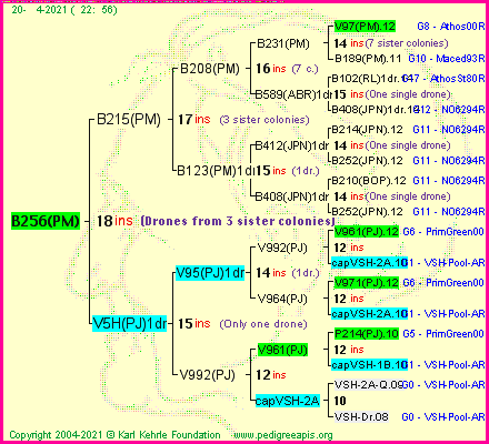 Pedigree of B256(PM) :
four generations presented
it's temporarily unavailable, sorry!