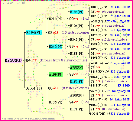 Pedigree of B258(PJ) :
four generations presented