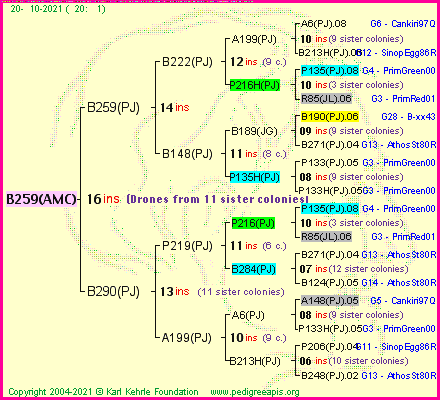 Pedigree of B259(AMC) :
four generations presented
it's temporarily unavailable, sorry!