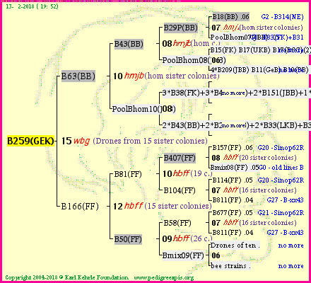 Pedigree of B259(GEK) :
four generations presented