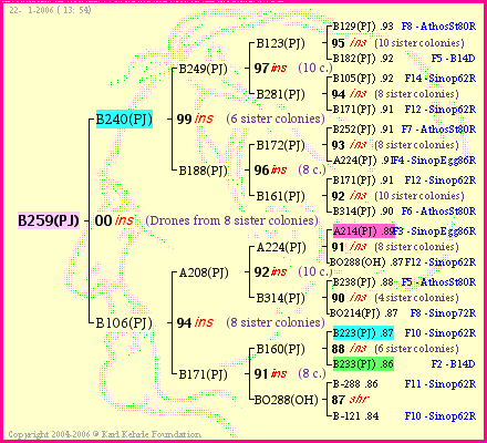 Pedigree of B259(PJ) :
four generations presented
it's temporarily unavailable, sorry!