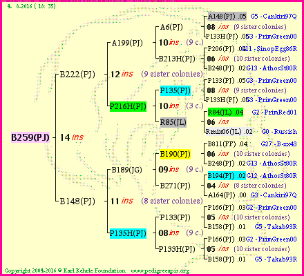 Pedigree of B259(PJ) :
four generations presented
it's temporarily unavailable, sorry!