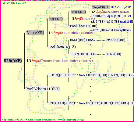 Pedigree of B26(AKB) :
four generations presented<br />it's temporarily unavailable, sorry!