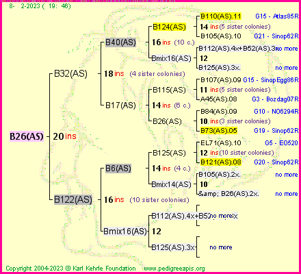 Pedigree of B26(AS) :
four generations presented
it's temporarily unavailable, sorry!