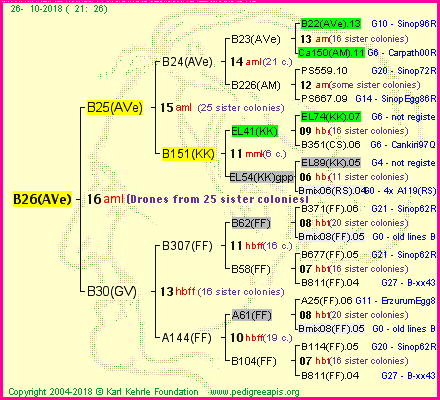 Pedigree of B26(AVe) :
four generations presented<br />it's temporarily unavailable, sorry!