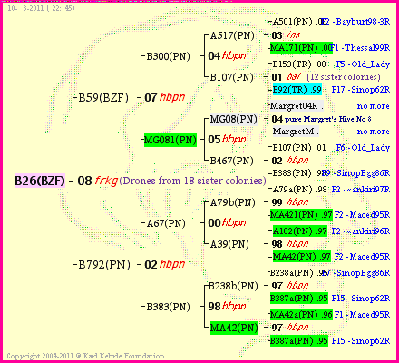 Pedigree of B26(BZF) :
four generations presented