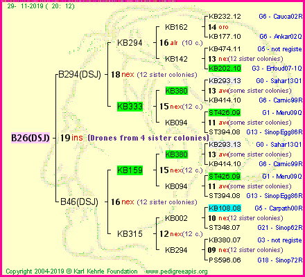 Pedigree of B26(DSJ) :
four generations presented
it's temporarily unavailable, sorry!