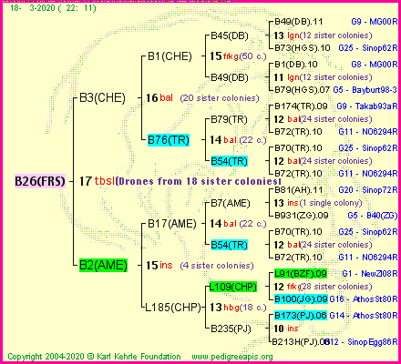 Pedigree of B26(FRS) :
four generations presented
it's temporarily unavailable, sorry!