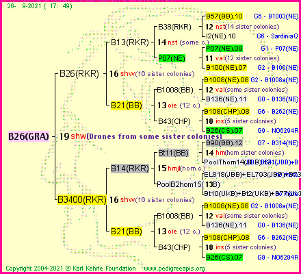 Pedigree of B26(GRA) :
four generations presented
it's temporarily unavailable, sorry!