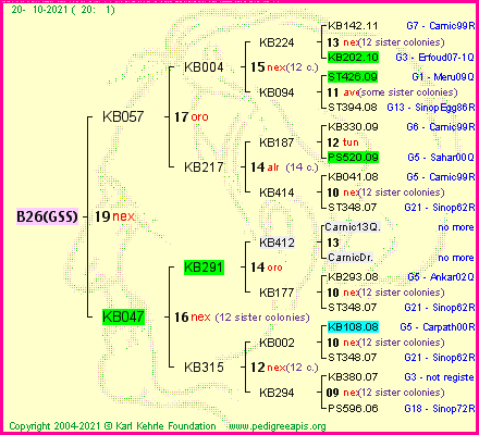 Pedigree of B26(GSS) :
four generations presented
it's temporarily unavailable, sorry!