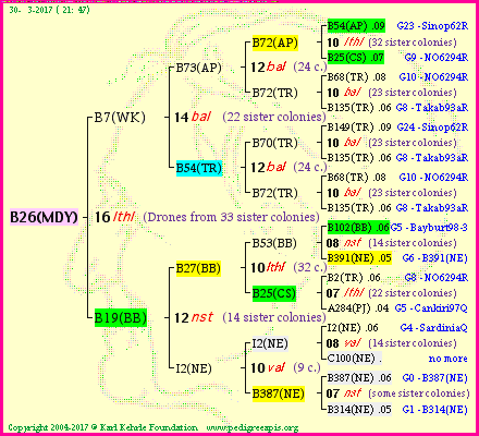 Pedigree of B26(MDY) :
four generations presented<br/>temporarily unavailable ... sorry