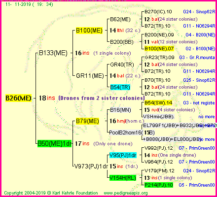 Pedigree of B26(ME) :
four generations presented
it's temporarily unavailable, sorry!