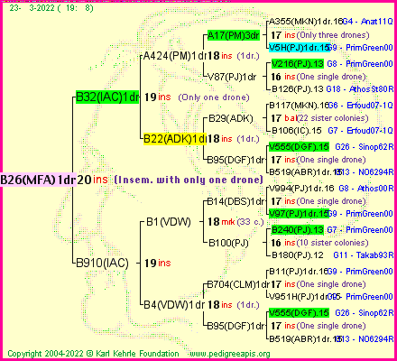 Pedigree of B26(MFA)1dr :
four generations presented
it's temporarily unavailable, sorry!