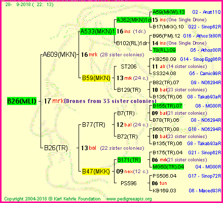 Pedigree of B26(MLI) :
four generations presented<br />it's temporarily unavailable, sorry!