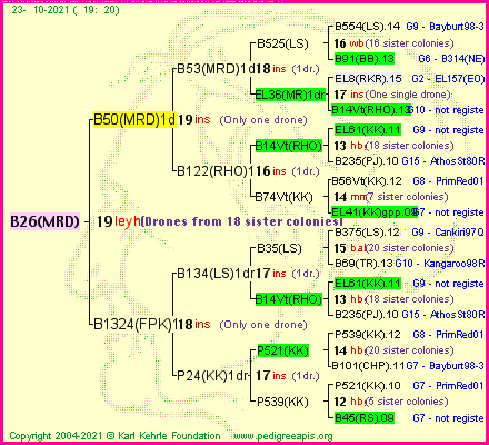 Pedigree of B26(MRD) :
four generations presented
it's temporarily unavailable, sorry!