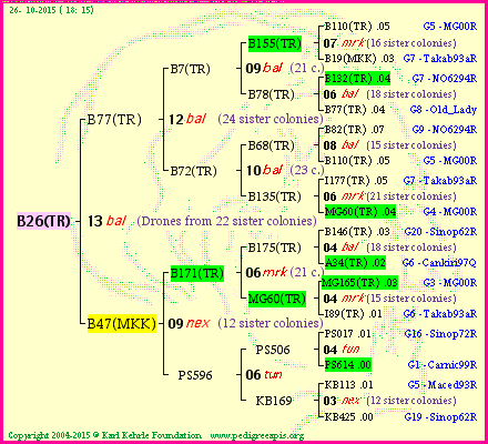 Pedigree of B26(TR) :
four generations presented
it's temporarily unavailable, sorry!