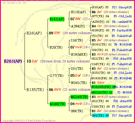 Pedigree of B261(AP) :
four generations presented