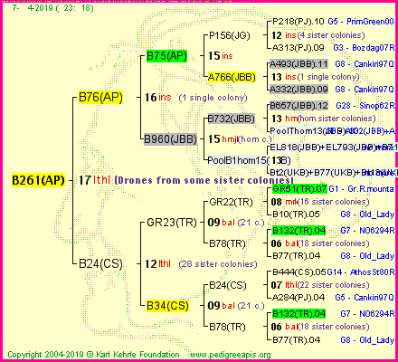 Pedigree of B261(AP) :
four generations presented<br />it's temporarily unavailable, sorry!