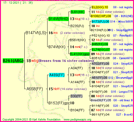 Pedigree of B261(ARG) :
four generations presented
it's temporarily unavailable, sorry!