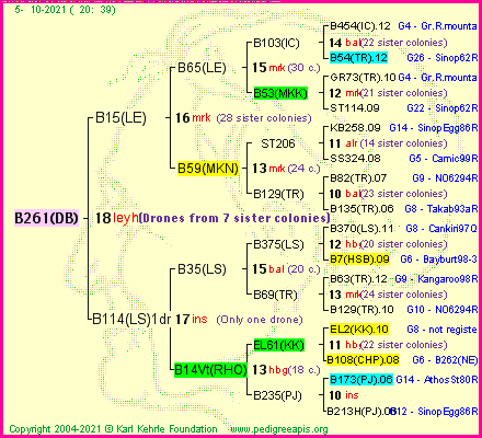 Pedigree of B261(DB) :
four generations presented
it's temporarily unavailable, sorry!