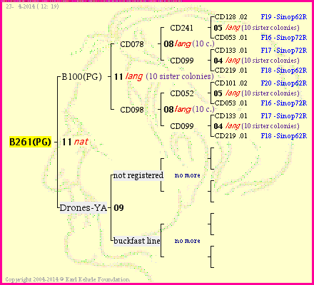 Pedigree of B261(PG) :
four generations presented