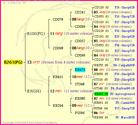 Pedigree of B261(PG) :
four generations presented